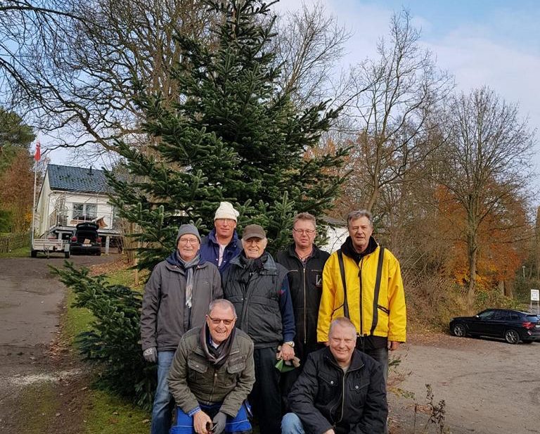 Der Weihnachtsbaum Der Weihnachtsbaum